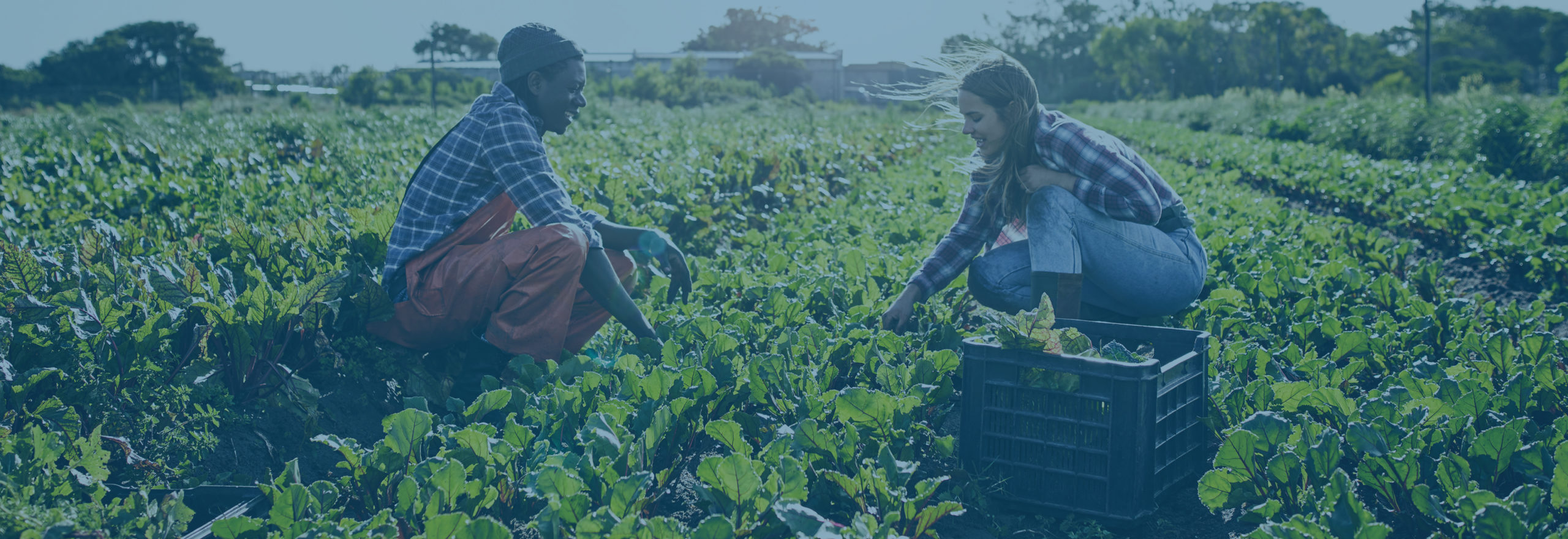 TPI What We Do image